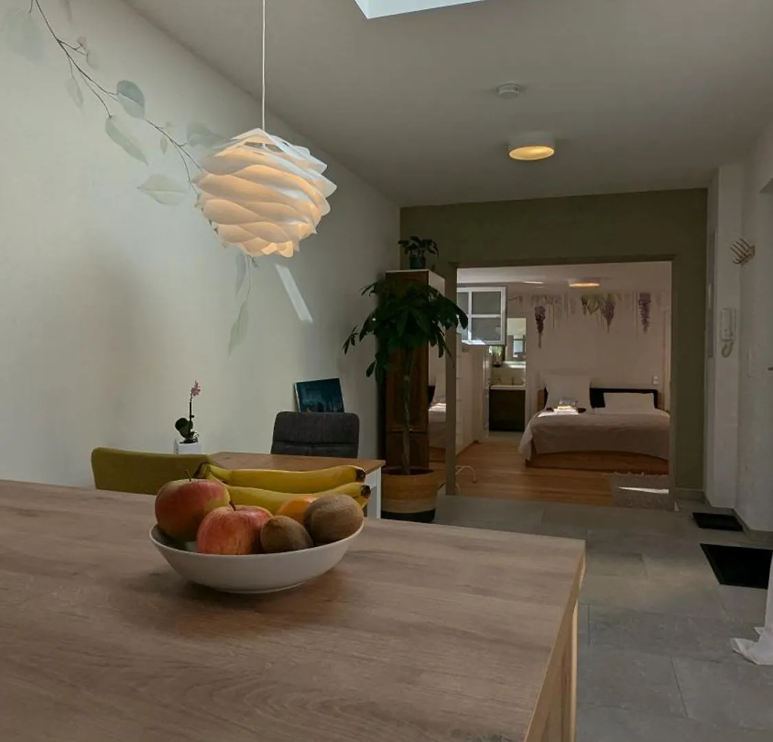 Apartment Am Galgenberg Řezno Německo